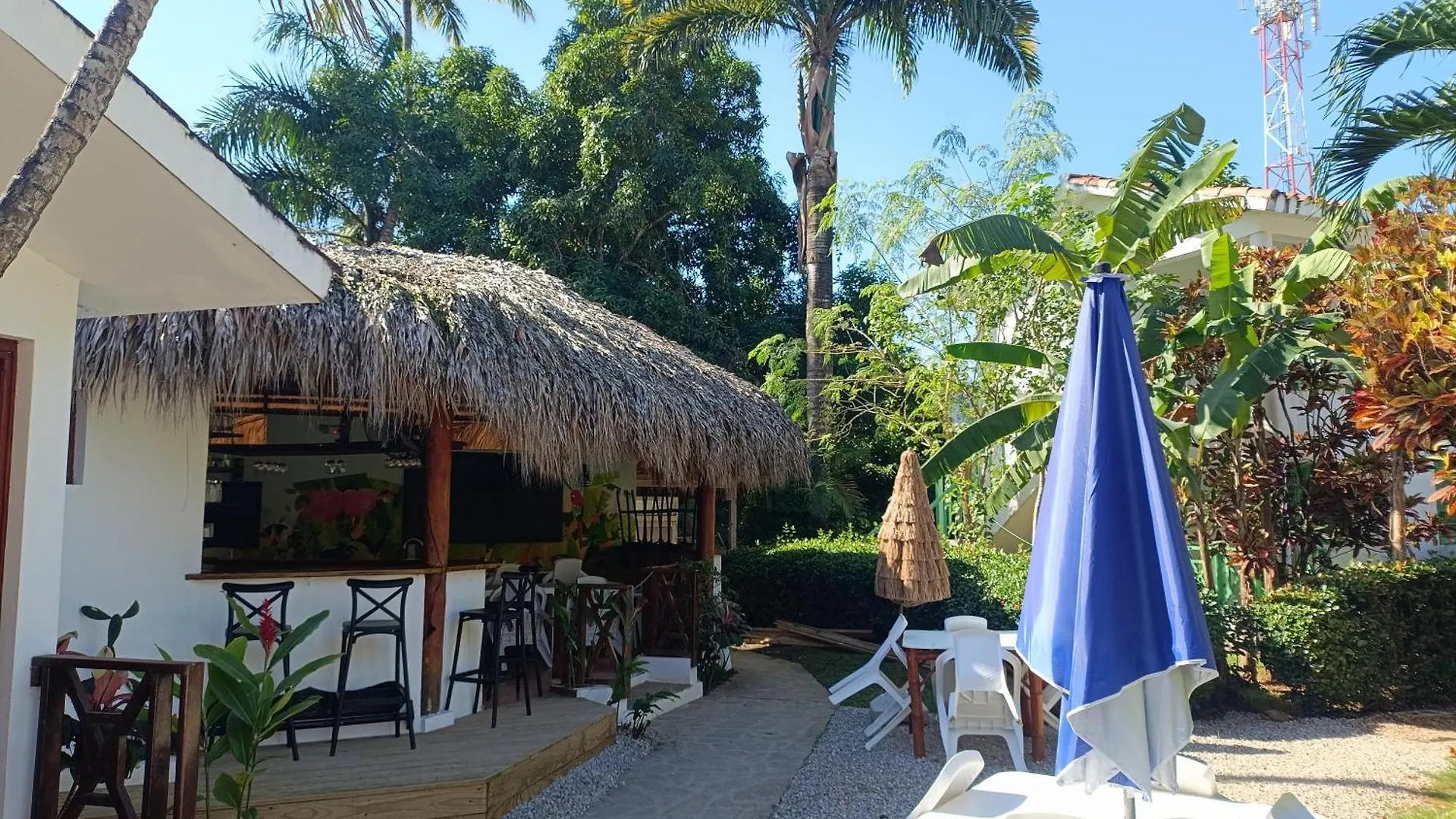 Cozy Studio- Centre - Near Beach Las Terrenas Apartment