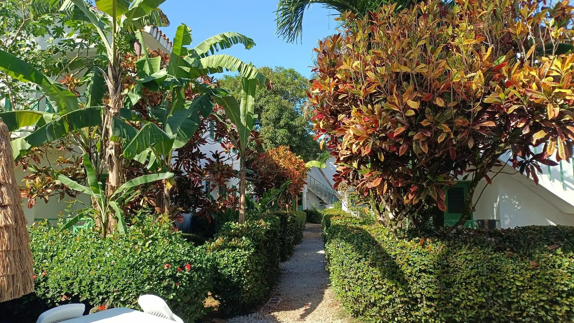 Cozy Studio- Centre - Near Beach Las Terrenas